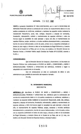 Decreto nº 1599 de 2020, GARRO, Julio cesar