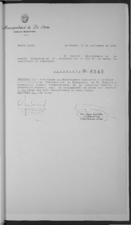 Ordenanza n° 8540 de 1995