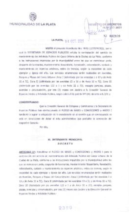 Decreto nº 2380 de 2021, GARRO, Julio cesar