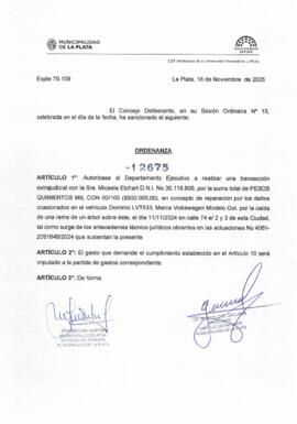 Ordenanza n° 12675 de 2025